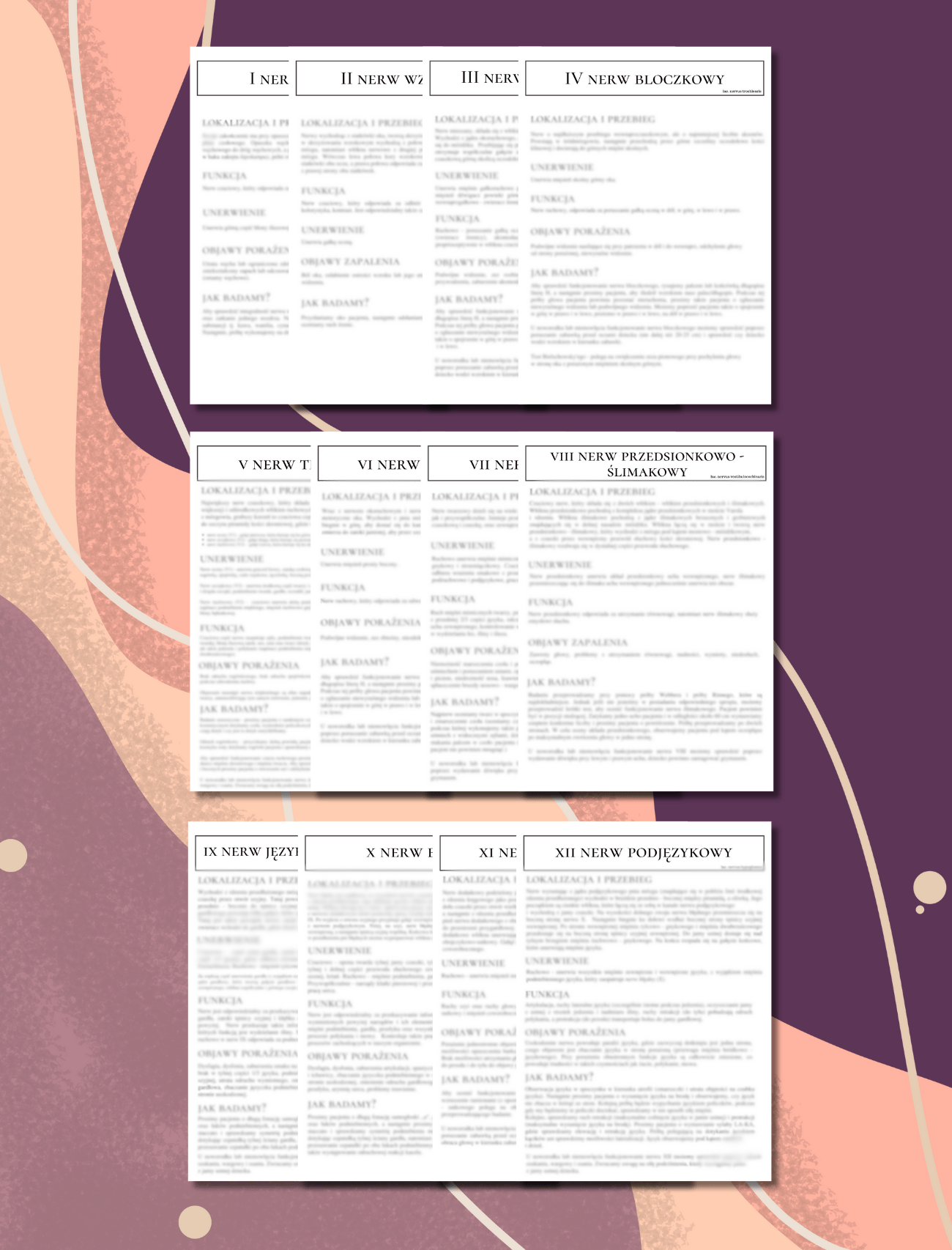 E-book: Nerwy czaszkowe w terapii logopedycznej