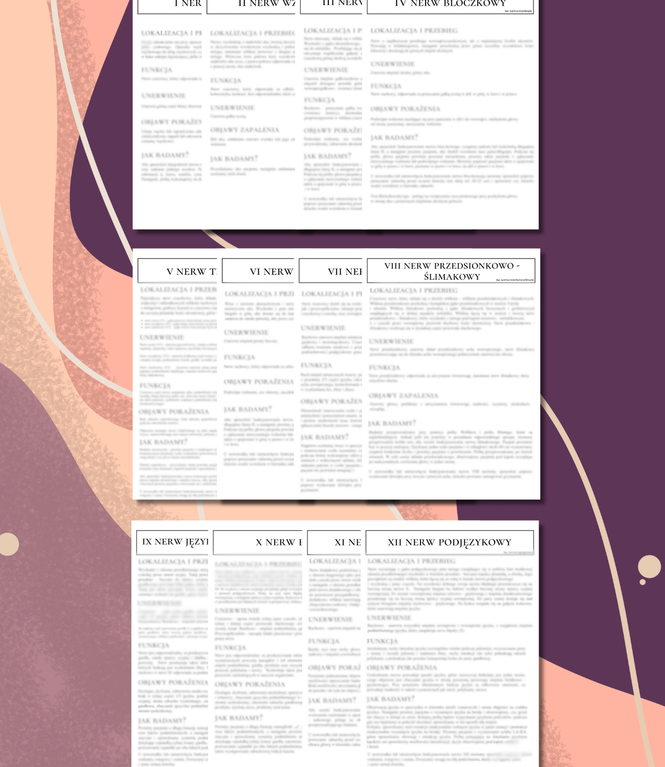 438 E-BOOK: PAKIET STRATEGICZNA DIAGNOZA