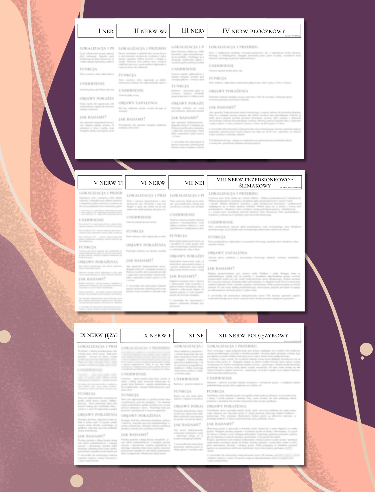 438 E-BOOK: PAKIET STRATEGICZNA DIAGNOZA