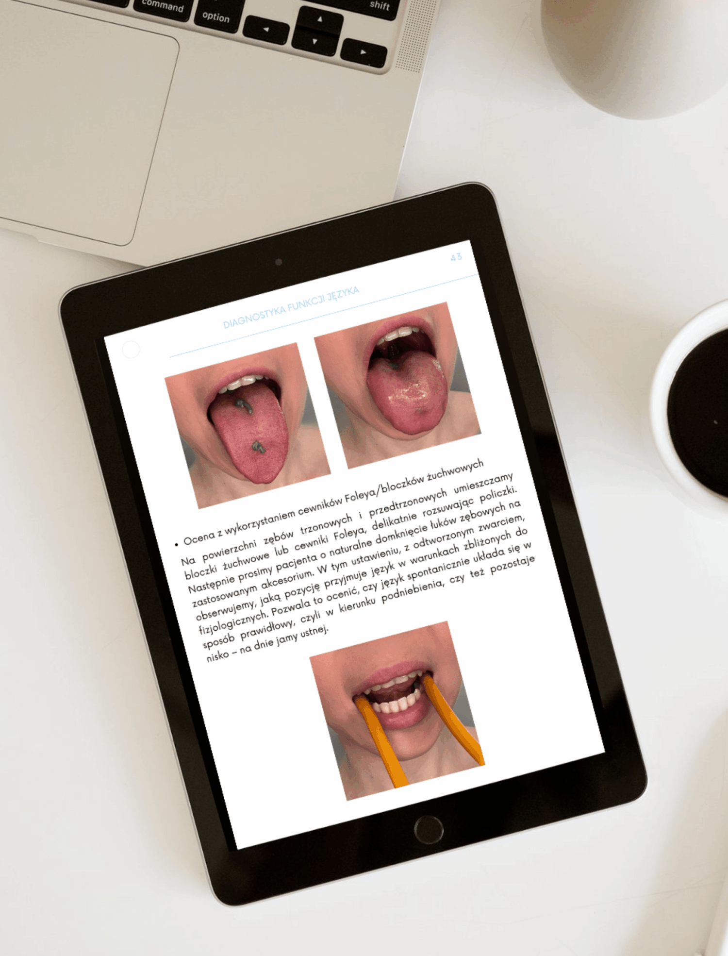 Pakiet Mioencyklopedia 1 + 2 + 3 (e-book + kurs wideo)